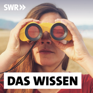 Fakt oder Fake – Wie wir Desinformation erkennen können