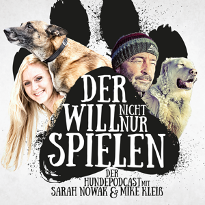 Zu wenig Auslauf für den Hund! Und jetzt?