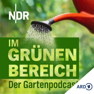 Frühlingsschnitt: So schneidet ihr Hortensien, Lavendel und Clematis richtig