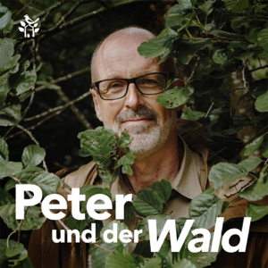 Peter und der Wald