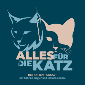 Folge 96 - Böser Kater am Abend oder böser Kater am Morgen?