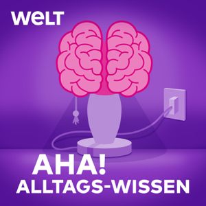 Quantenphysik im Alltag – Wofür es den Nobelpreis gibt