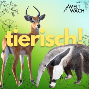 #114: Vom Dschungelhuhn zum Frühstücksei- die wilden Ahnen unserer Nutztiere