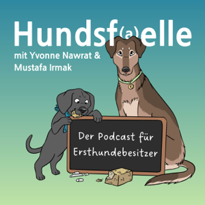 #115 - Impulskontrolle – mehr als nur „Sitz und Bleib“!